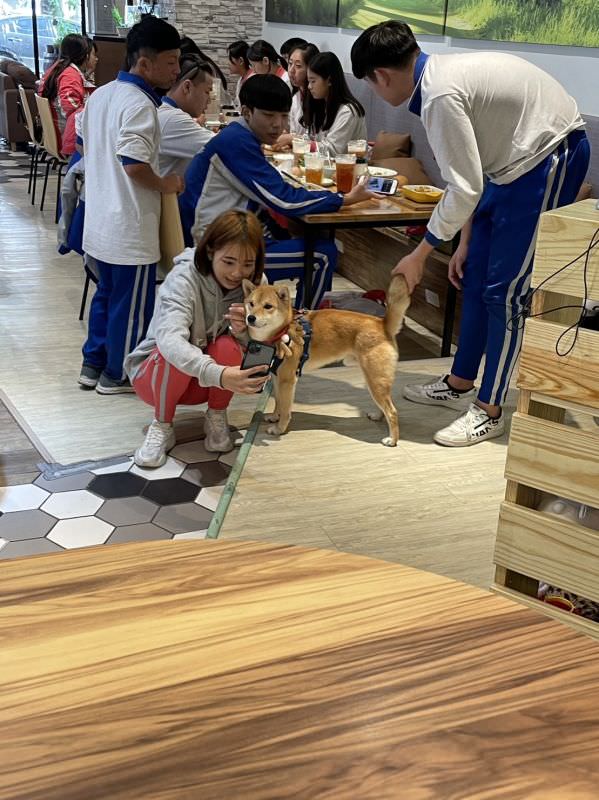 森林小徑大墩店對寵物超友善